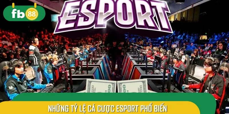 Những tỷ lệ cá cược Esport phổ biến