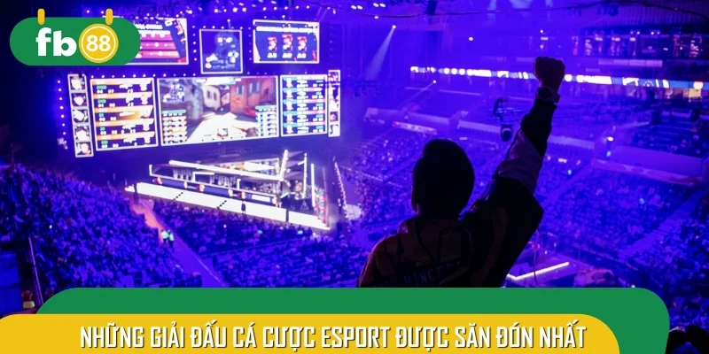 Những giải đấu cá cược Esport được săn đón nhất 2025