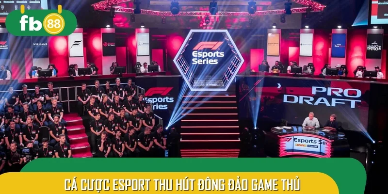 Cá cược Esport thu hút đông đảo game thủ tham gia
