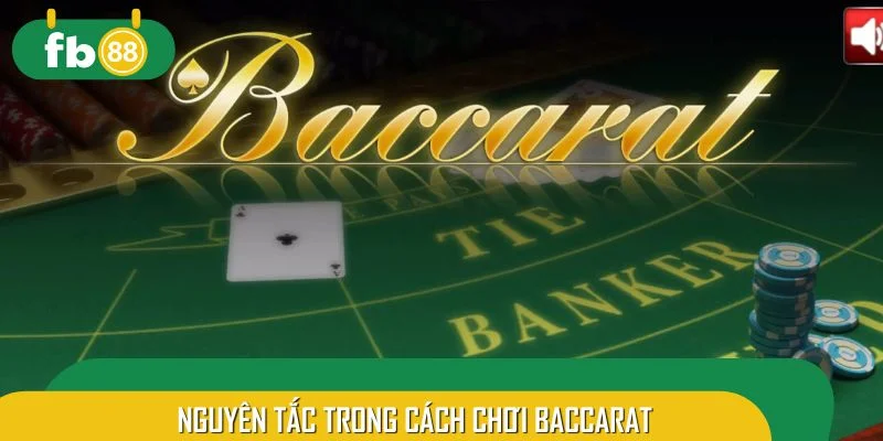 Nguyên tắc cần biết khi học cách chơi Baccarat
