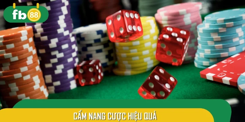 Cẩm nang cược hiệu quả - Hướng dẫn chơi Sicbo chi tiết