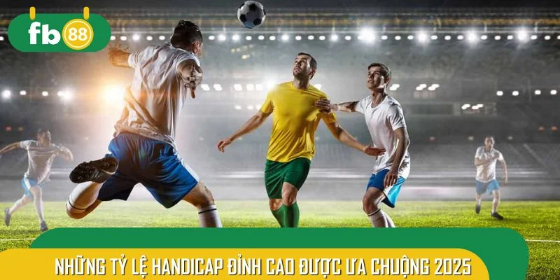 Những tỷ lệ HDP đỉnh cao được ưa chuộng 2025