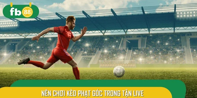 Nên chơi kèo phạt góc trong tận live