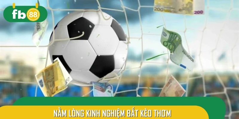 Người chơi cần nằm lòng kinh nghiệm bắt kèo thơm