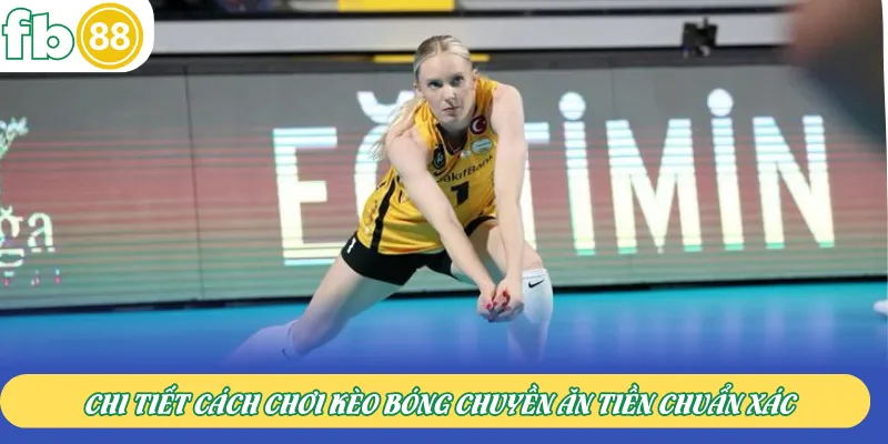 Chi tiết cách chơi kèo bóng chuyền ăn tiền chuẩn xác