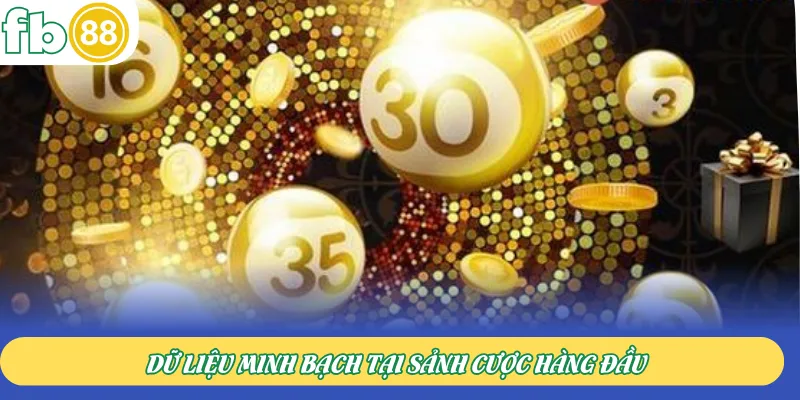 Dữ liệu minh bạch tại sảnh cược hàng đầu