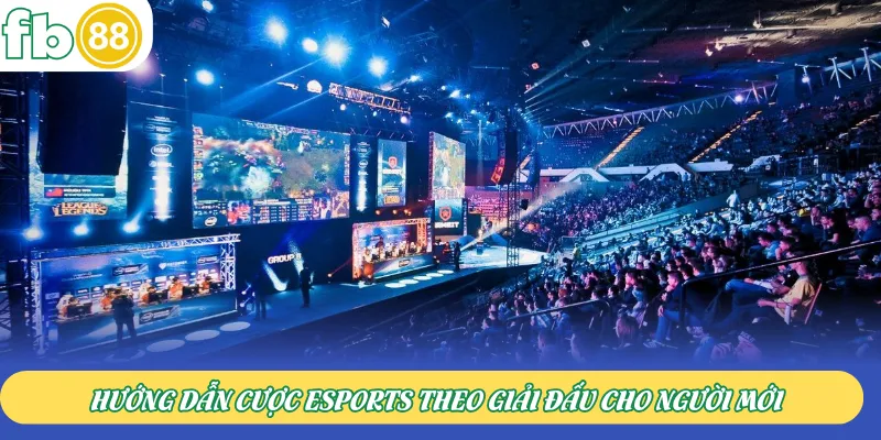 Hướng dẫn cược Esports theo giải đấu cho người mới