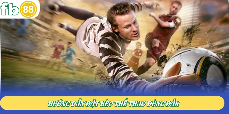 Hướng dẫn đặt kèo thể thao đúng đắn