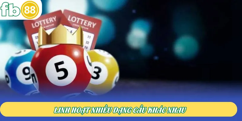 Linh hoạt nhiều dạng cầu khác nhau