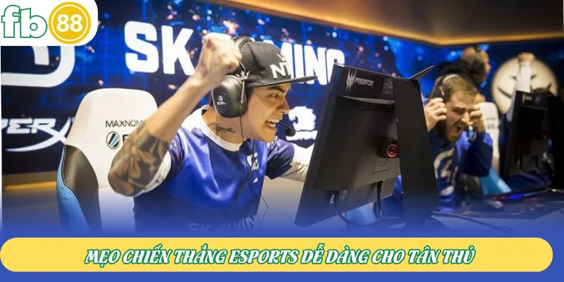 Mẹo chiến thắng Esports dễ dàng cho tân thủ