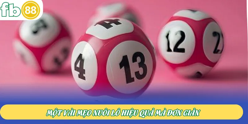 Một vài mẹo nuôi lô hiệu quả mà đơn giản