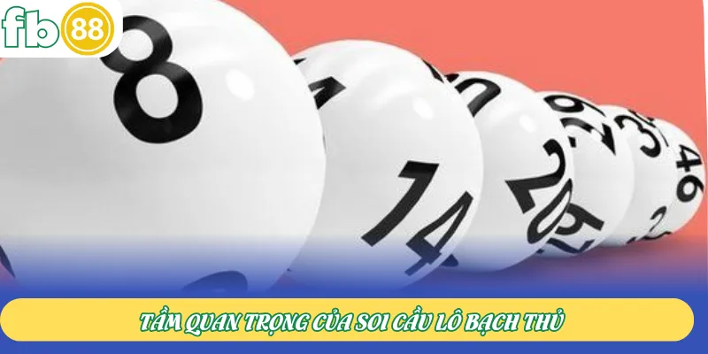 Tầm quan trọng của soi cầu lô bạch thủ