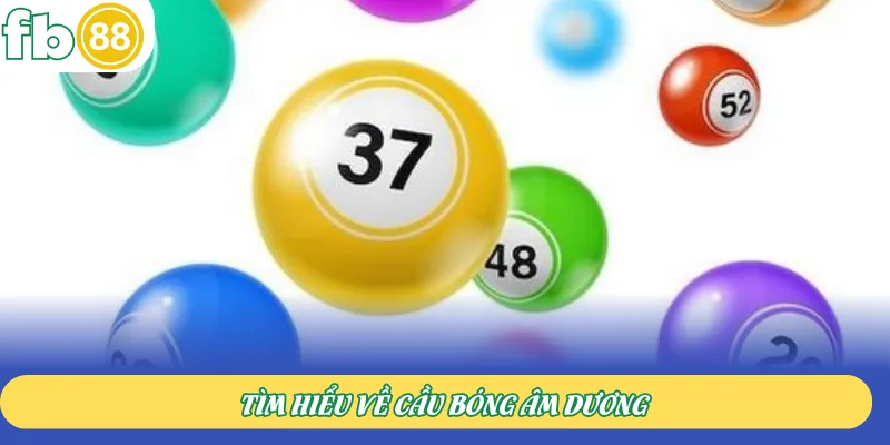 Tìm hiểu về cầu bóng âm dương