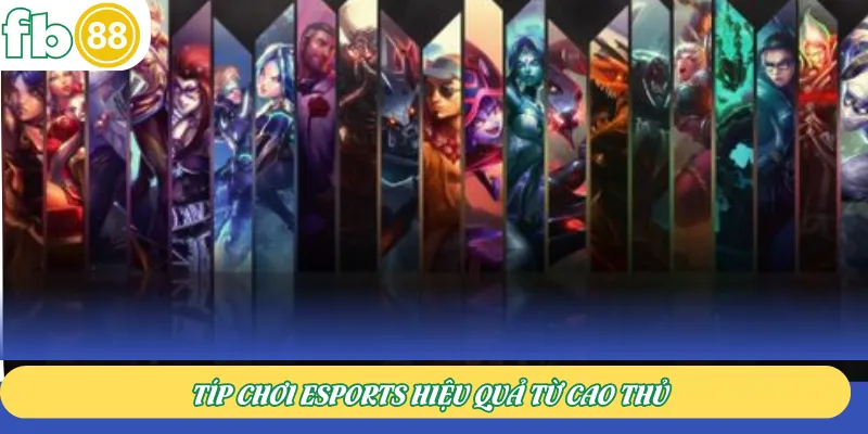 Típ chơi Esports hiệu quả từ cao thủ