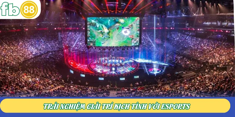 Trải nghiệm giải trí kịch tính với Esports